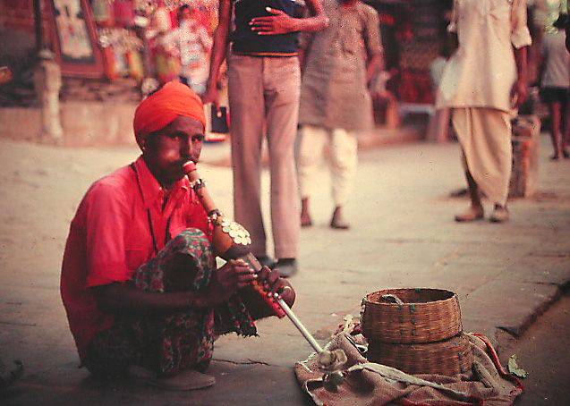 Jaipur Snake Charmer